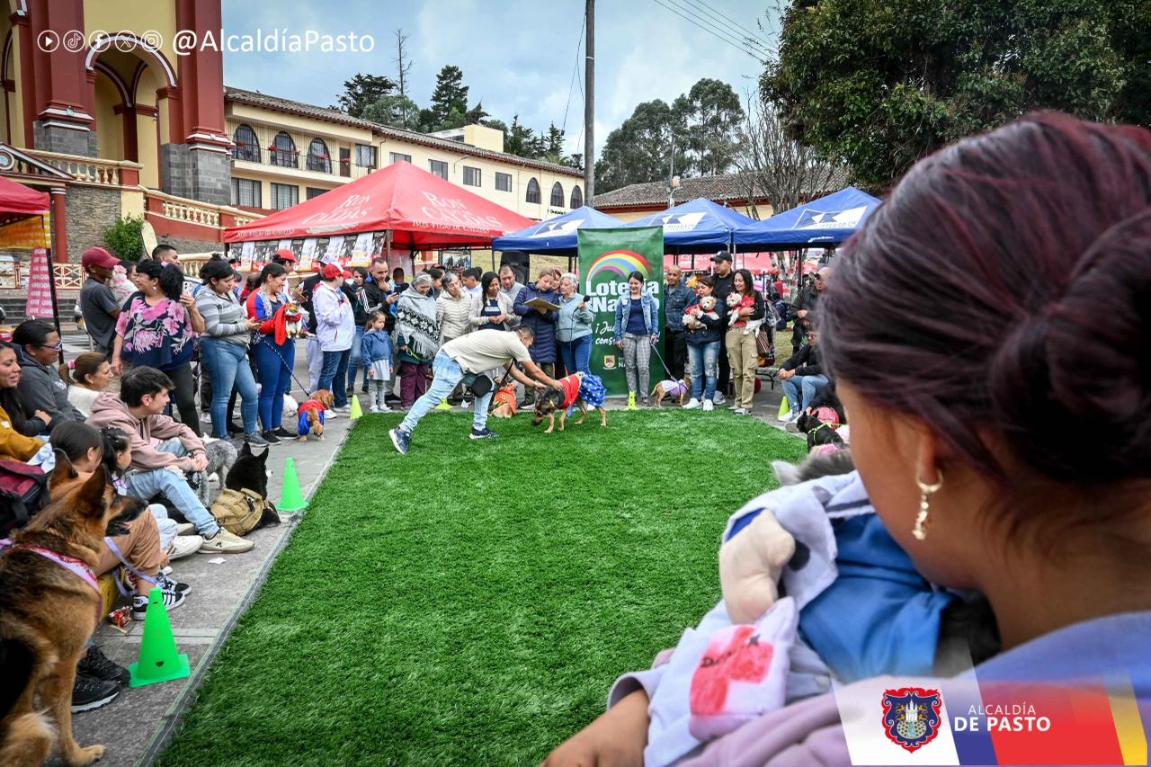 El Latido Solidario de Pasto: Un Llamado a la Conciencia Animal